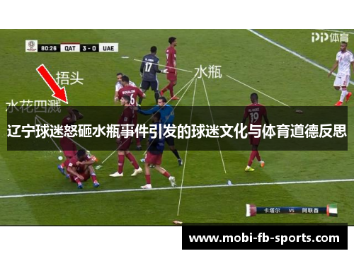 辽宁球迷怒砸水瓶事件引发的球迷文化与体育道德反思