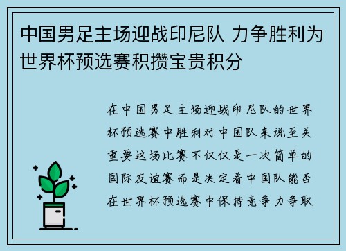 中国男足主场迎战印尼队 力争胜利为世界杯预选赛积攒宝贵积分