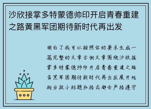 沙欣接掌多特蒙德帅印开启青春重建之路黄黑军团期待新时代再出发
